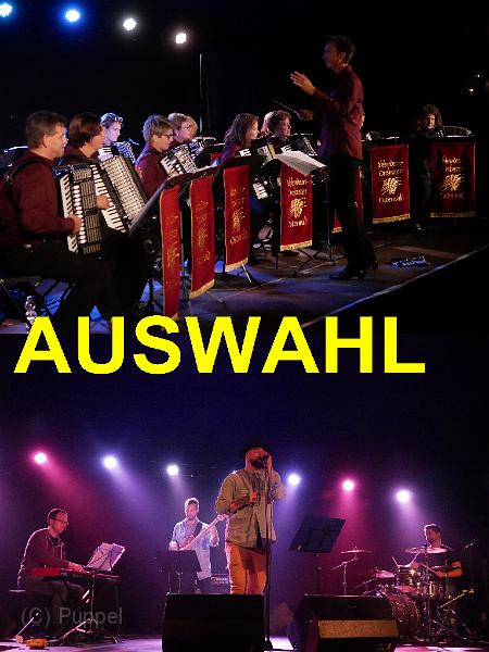 A AUSWAHL.jpg
